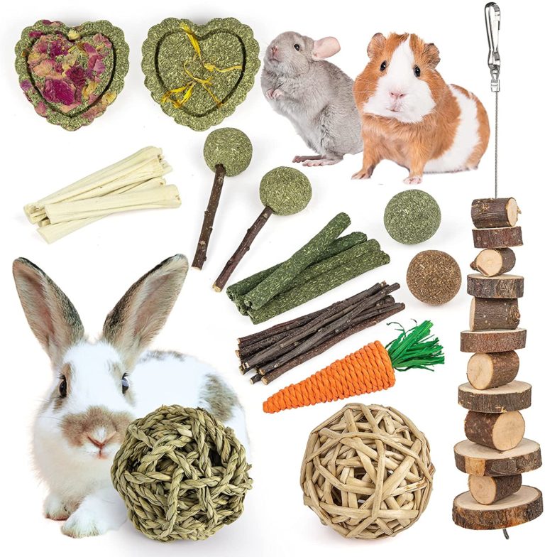 What Do You Need To Buy For Your New Pet Bunny Rabbit?